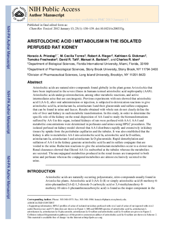 (PDF) Aristolochic Acid I Metabolism in the Isolated Perfused Rat Kidney