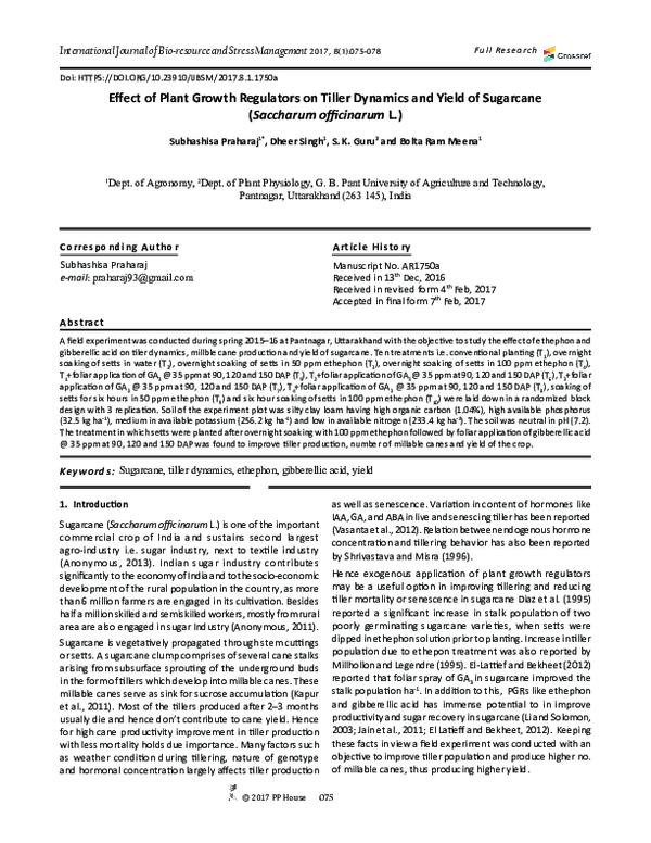 (PDF) Effect of Plant Growth Regulators on Tiller Dynamics and Yield of ...