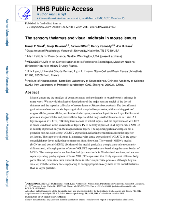 (PDF) The sensory thalamus and visual midbrain in mouse lemurs