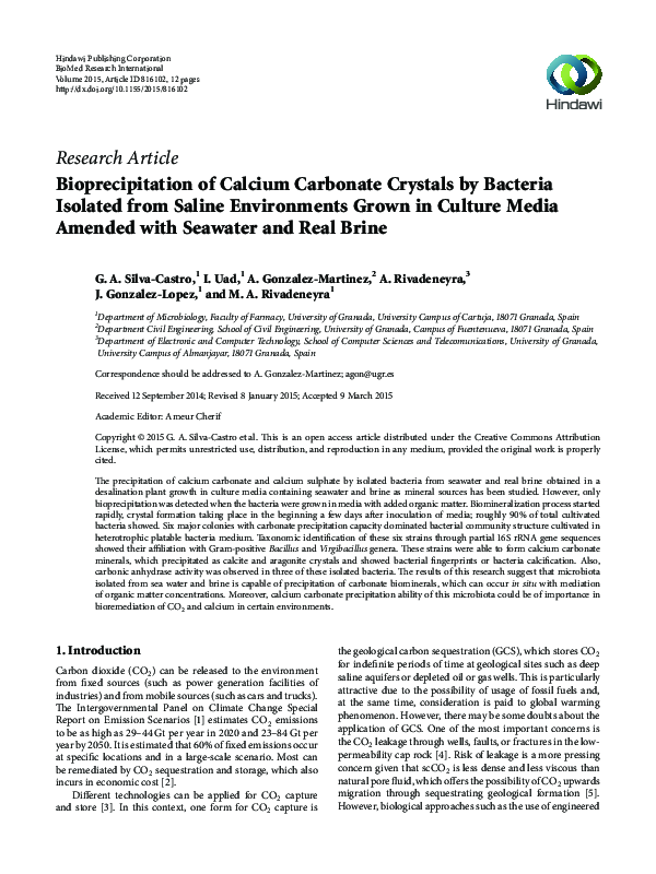 (PDF) Bioprecipitation of Calcium Carbonate Crystals by Bacteria ...