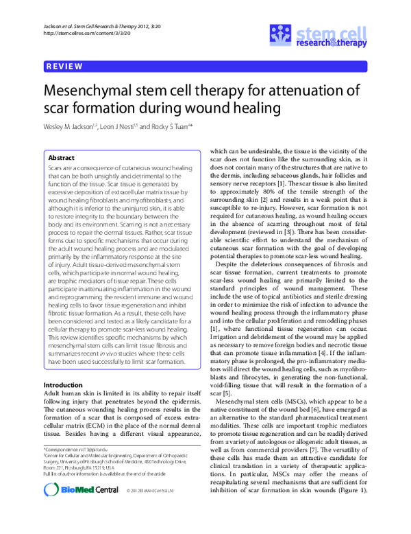 (PDF) Mesenchymal stem cell therapy for attenuation of scar formation ...