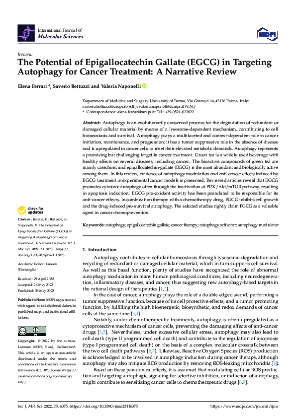 (PDF) The Potential of Epigallocatechin Gallate (EGCG) in Targeting ...