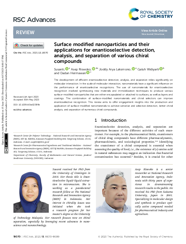 (PDF) Surface modified nanoparticles and their applications for ...