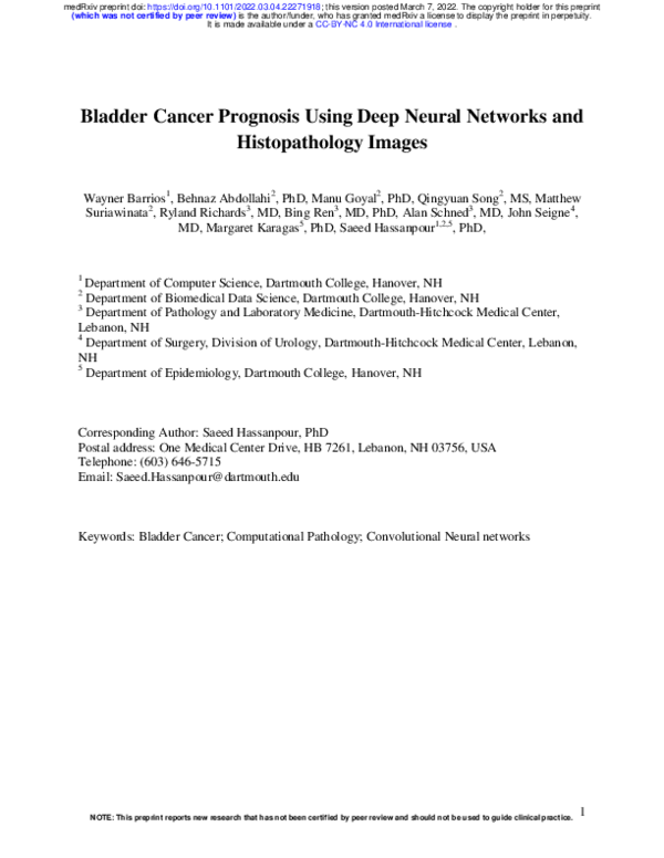 (PDF) Bladder Cancer Prognosis Using Deep Neural Networks and ...