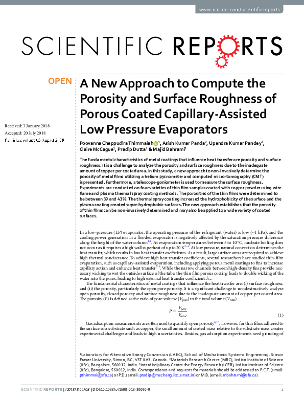 (PDF) A New Approach to Compute the Porosity and Surface Roughness of ...