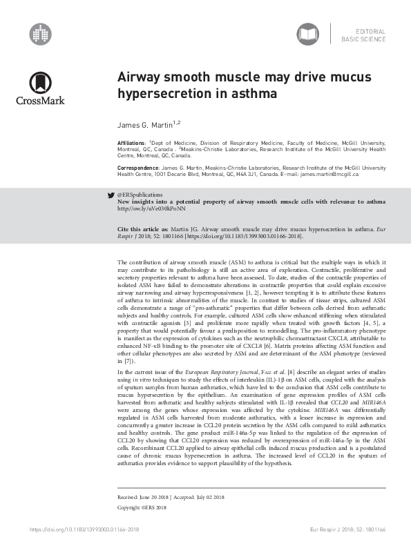 (PDF) Airway smooth muscle may drive mucus hypersecretion in asthma
