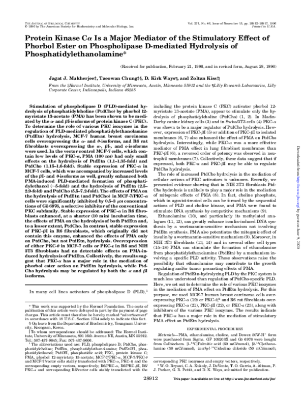 (PDF) Protein Kinase Cα Is a Major Mediator of the Stimulatory Effect ...