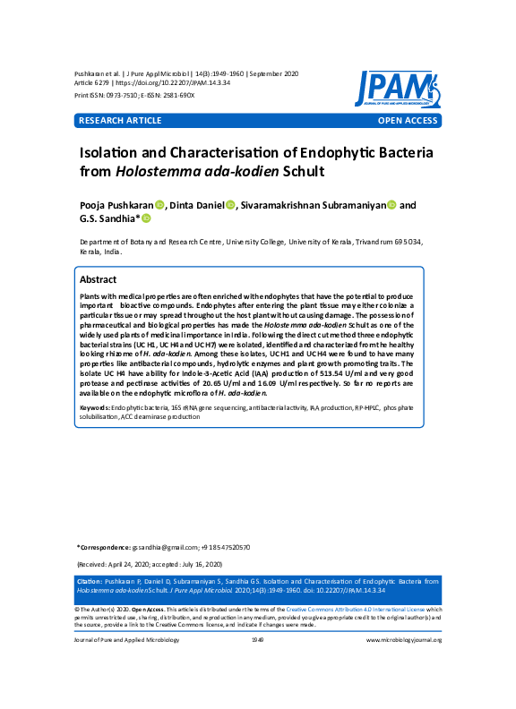 (PDF) Isolation and Characterisation of Endophytic Bacteria from ...