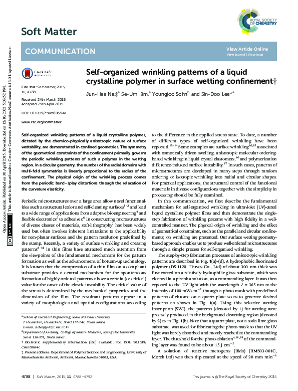(PDF) Self-organized wrinkling patterns of a liquid crystalline polymer ...