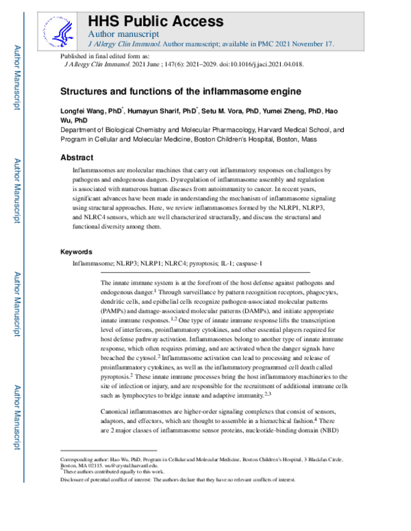 (PDF) Structures and functions of the inflammasome engine