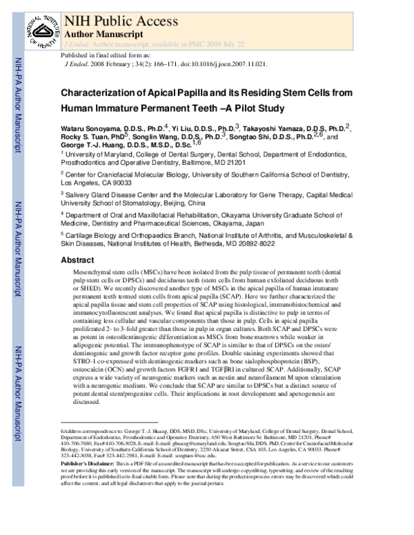 (PDF) Characterization of the apical papilla and its residing stem ...