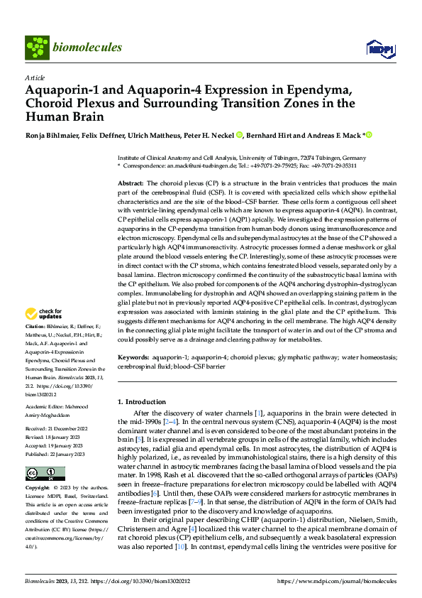 (PDF) Aquaporin-1 and Aquaporin-4 Expression in Ependyma, Choroid ...