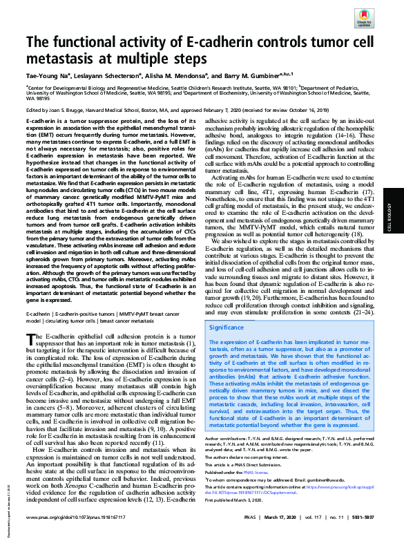 (PDF) The functional activity of E-cadherin controls tumor cell ...