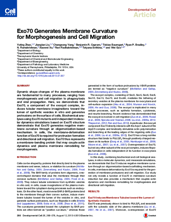 (PDF) Exo70 Generates Membrane Curvature for Morphogenesis and Cell ...