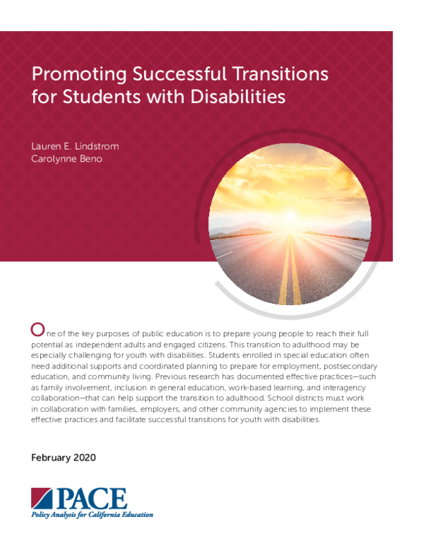 (PDF) Promoting Successful Transitions for Students with Disabilities