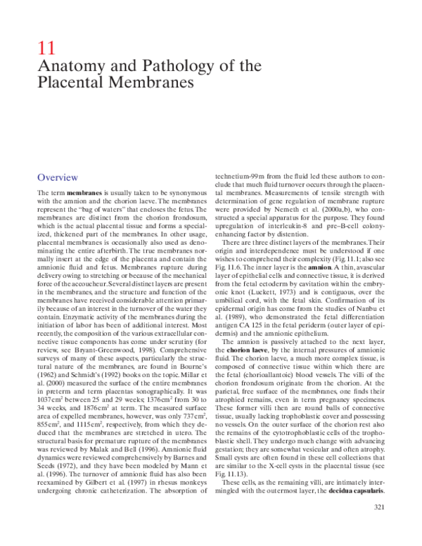 (PDF) Anatomy and Pathology of the Placental Membranes