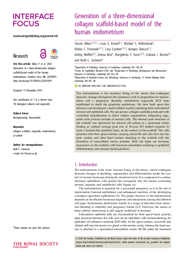 (PDF) Generation of a three-dimensional collagen scaffold-based model ...