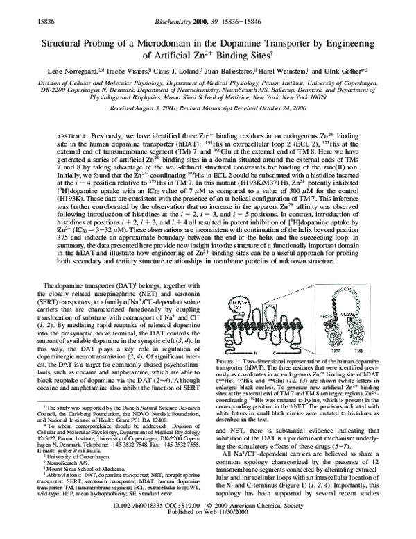 (PDF) Structural Probing of a Microdomain in the Dopamine Transporter ...