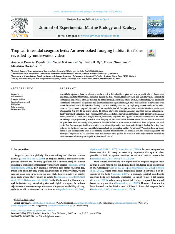 (PDF) Tropical intertidal seagrass beds An overlooked foraging habitat