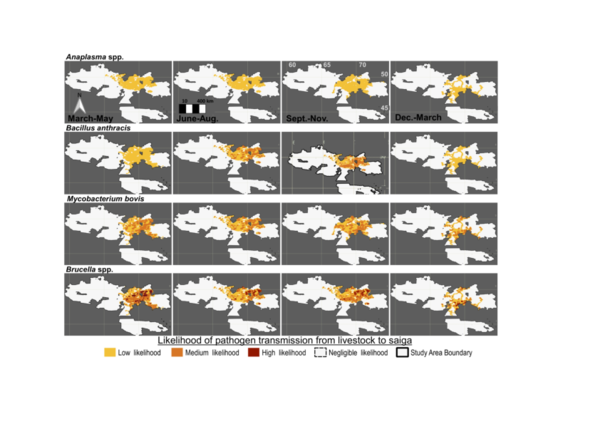 (PDF) Likelihood maps for transmission of pathogens from domestic ...