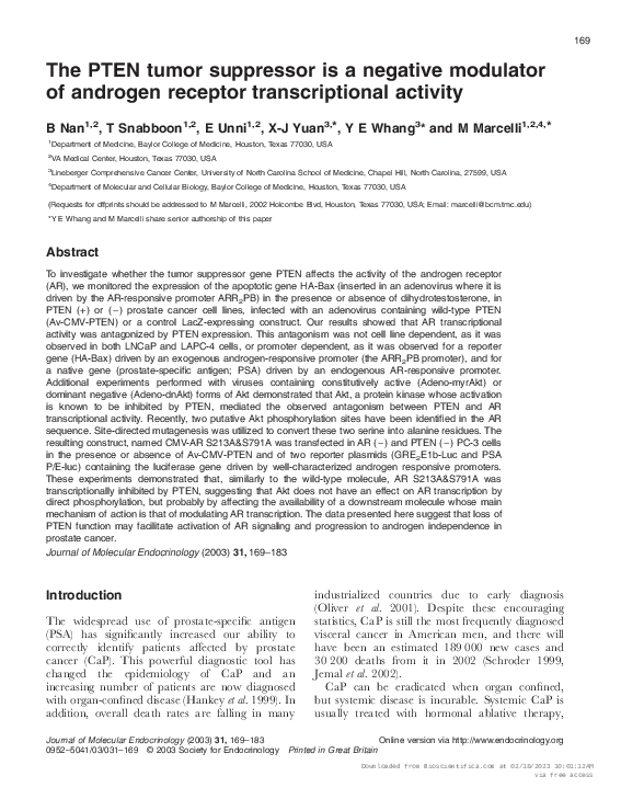 (PDF) The PTEN tumor suppressor is a negative modulator of androgen ...