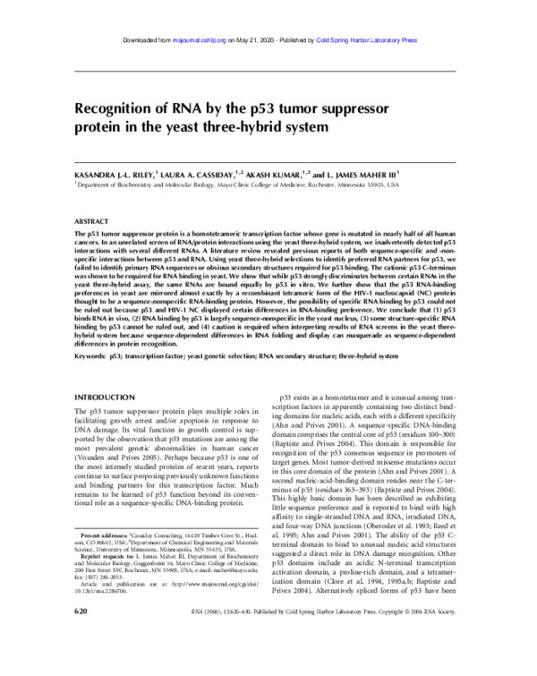(PDF) Recognition of RNA by the p53 tumor suppressor protein in the ...