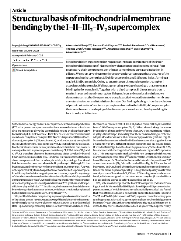 (PDF) Structural basis of mitochondrial membrane bending by the I–II ...