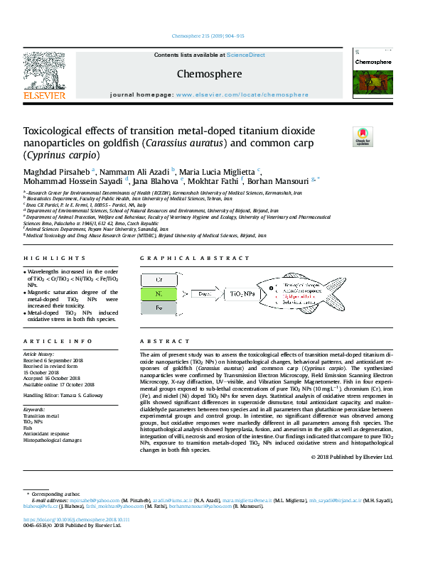 (PDF) Toxicological effects of transition metal-doped titanium dioxide ...