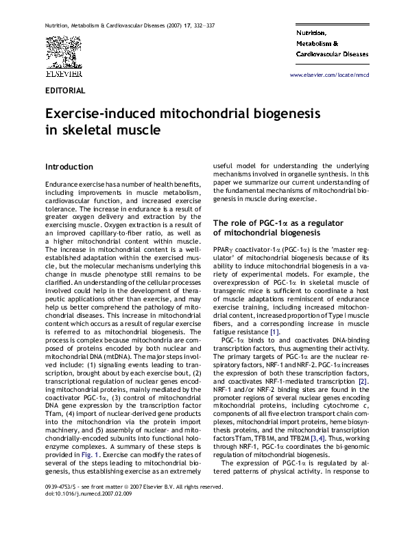 (PDF) Exercise-induced mitochondrial biogenesis in skeletal muscle