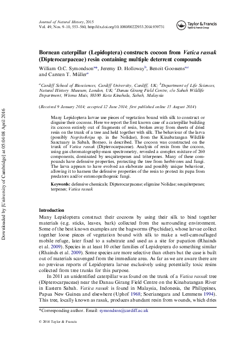 (PDF) Bornean caterpillar (Lepidoptera) constructs cocoon fromVatica ...