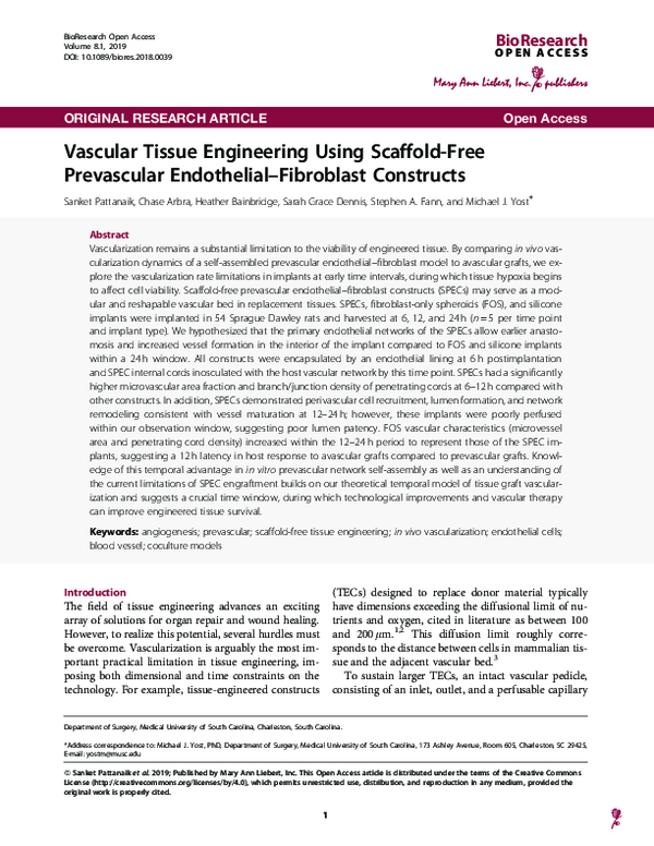 (PDF) Vascular Tissue Engineering Using Scaffold-Free Prevascular ...