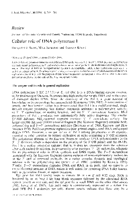 (PDF) Cellular role of DNA polymerase I