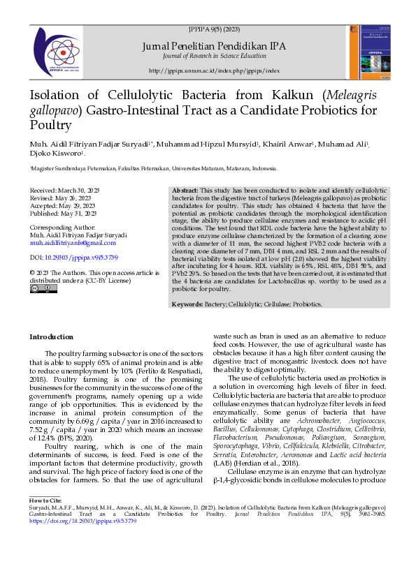 (PDF) Isolation of Cellulolytic Bacteria from Kalkun (Meleagris ...