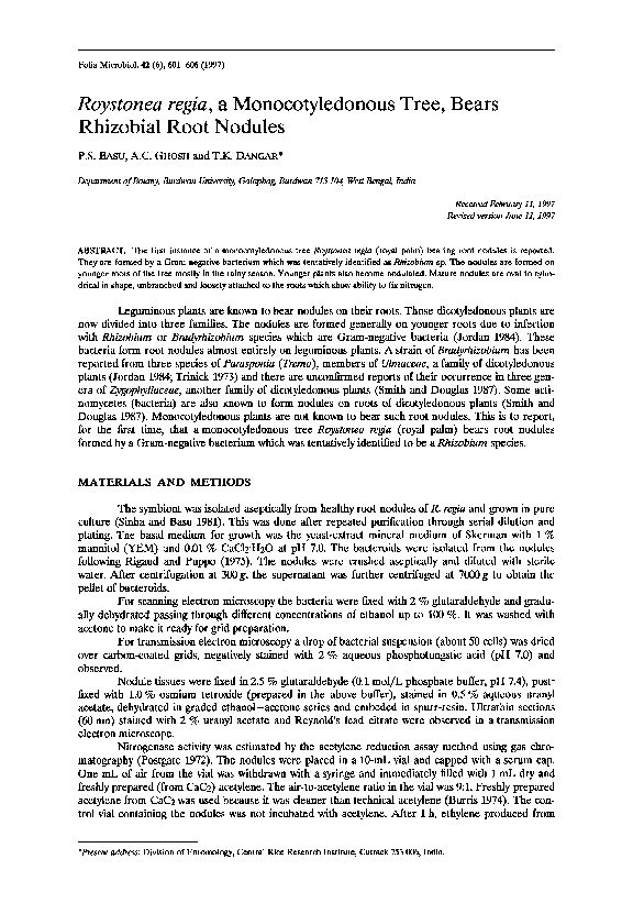 (PDF) Roystonea regia a monocotyledonous tree, bears rhizobial root nodules