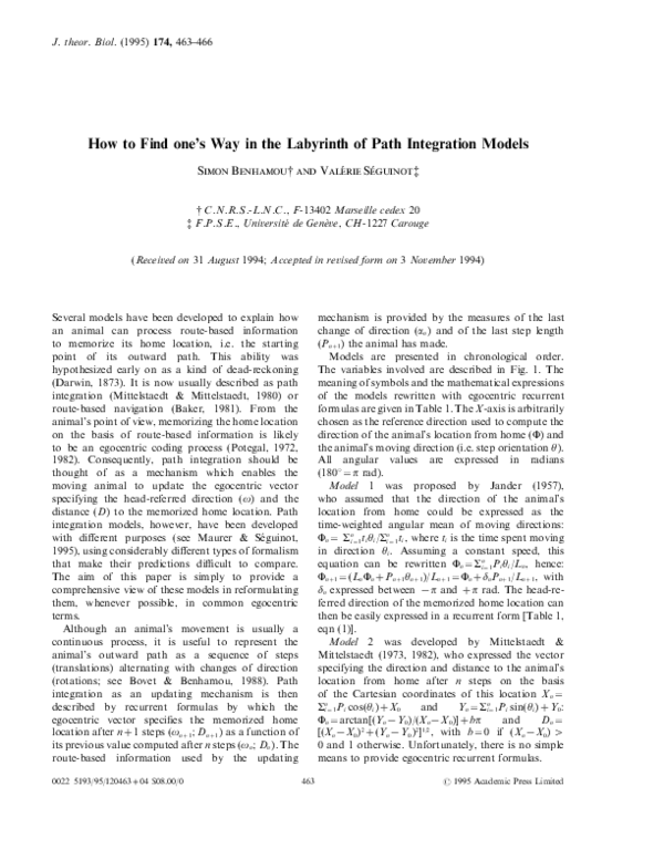 (PDF) How to find one's way in the labyrinth of path integration models