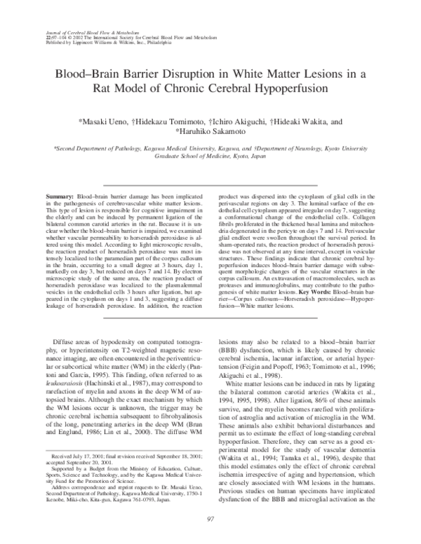(PDF) Blood–Brain Barrier Disruption in White Matter Lesions in a Rat ...