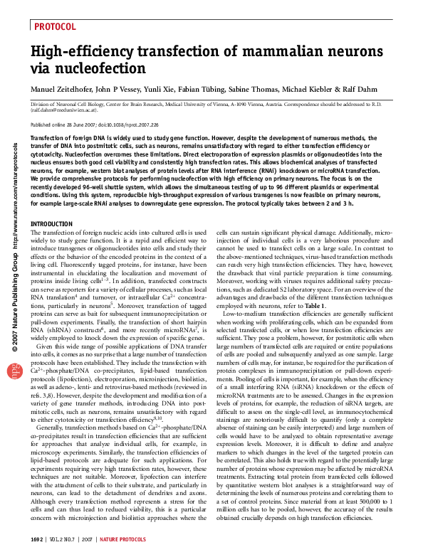 (PDF) High-efficiency transfection of mammalian neurons via nucleofection