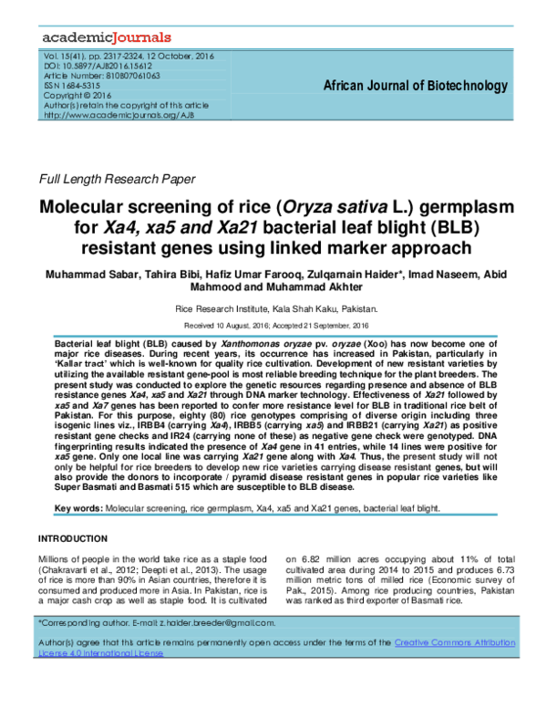 (PDF) Molecular screening of rice (Oryza sativa L.) germplasm for Xa4 ...