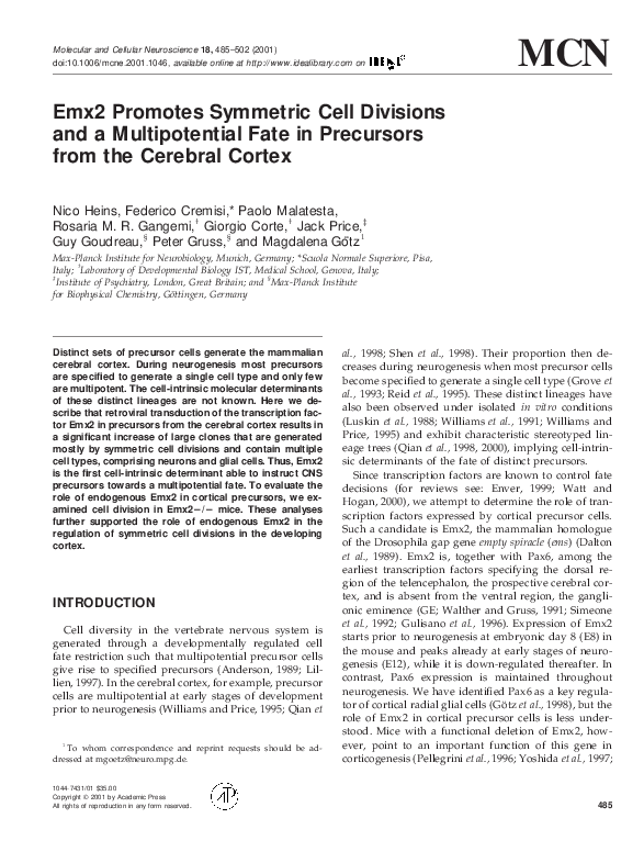 (PDF) Emx2 Promotes Symmetric Cell Divisions and a Multipotential Fate ...