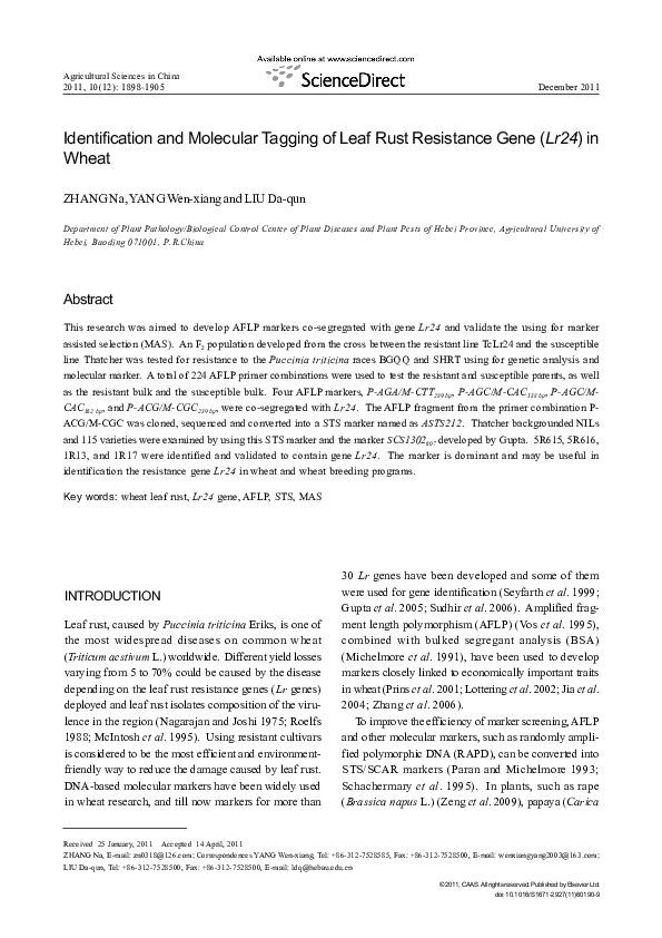 (PDF) Identification and Molecular Tagging of Leaf Rust Resistance Gene ...