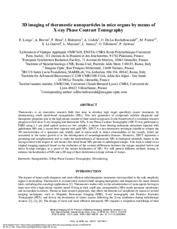 (PDF) 3D Mapping of Theranostic Nanoparticles in Mice