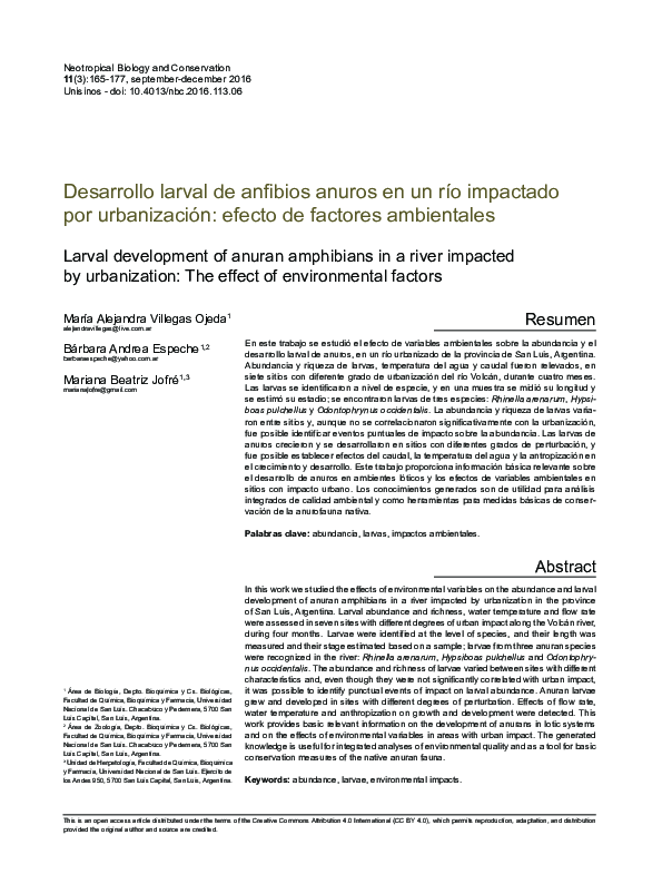 (PDF) Larval development of anuran amphibians in a river impacted by ...