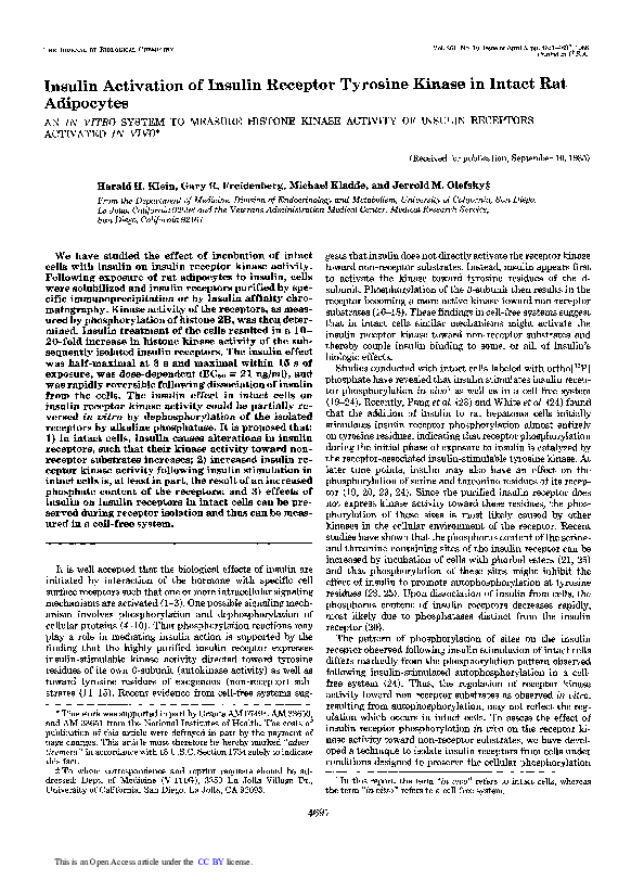(PDF) Insulin activation of insulin receptor tyrosine kinase in intact ...
