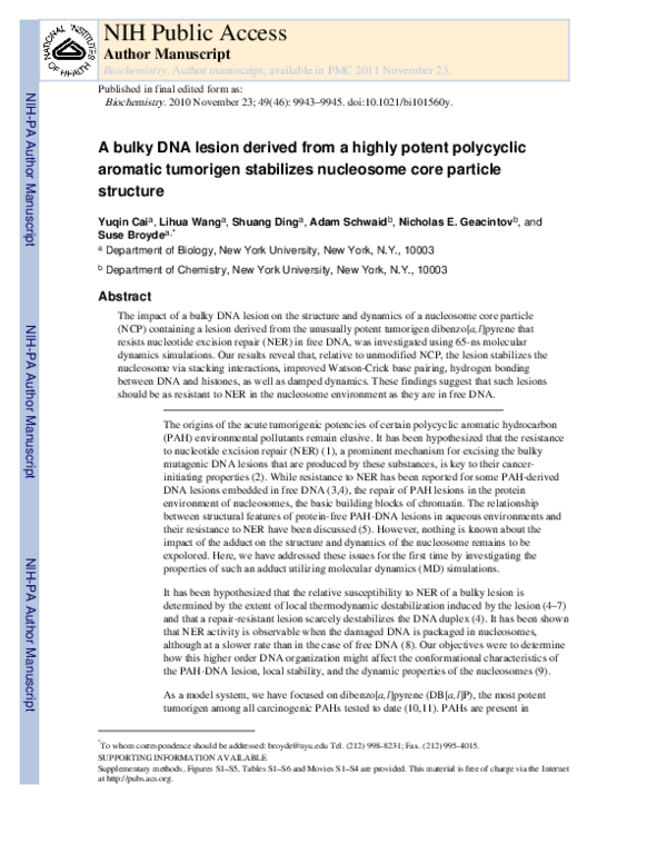 (PDF) A Bulky DNA Lesion Derived from a Highly Potent Polycyclic ...