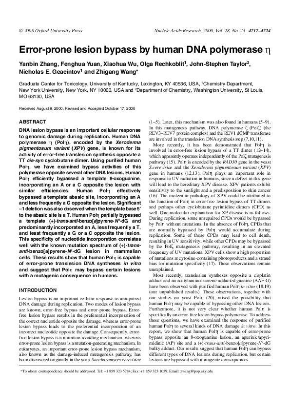 (PDF) Error-prone lesion bypass by human DNA polymerase eta