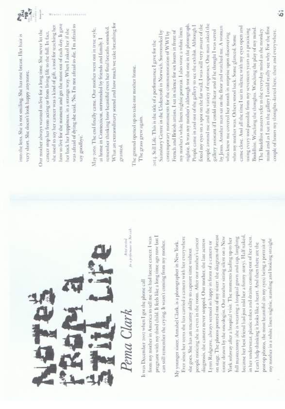 (PDF) Notes from a Still Life