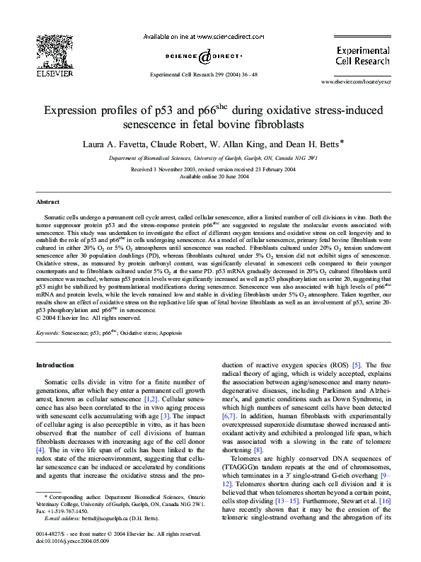 (PDF) Expression profiles of p53 and p66shc during oxidative stress ...