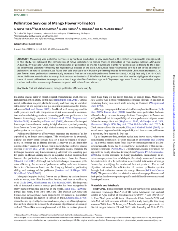 (PDF) Pollination Services of Mango Flower Pollinators