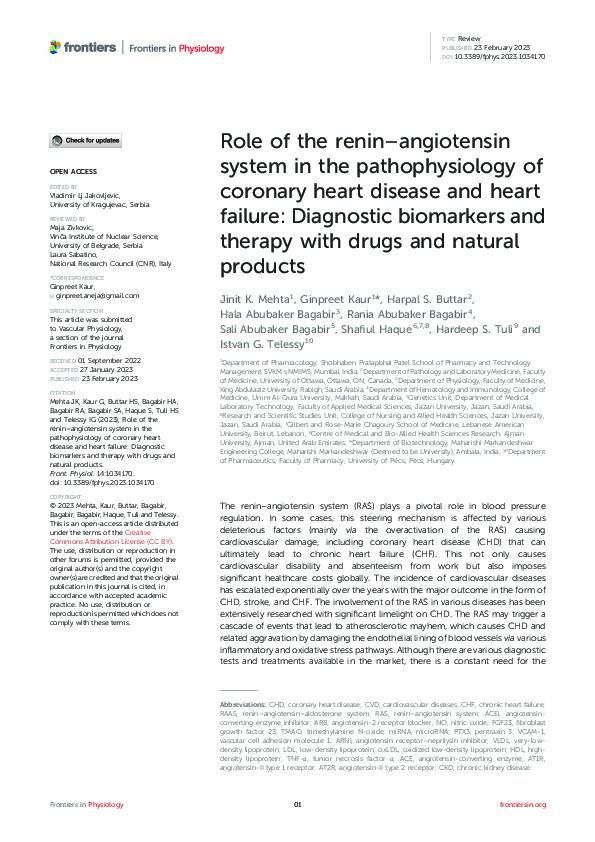 (PDF) Role of the renin–angiotensin system in the pathophysiology of ...