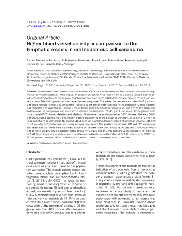 (PDF) Higher blood vessel density in comparison to the lymphatic ...